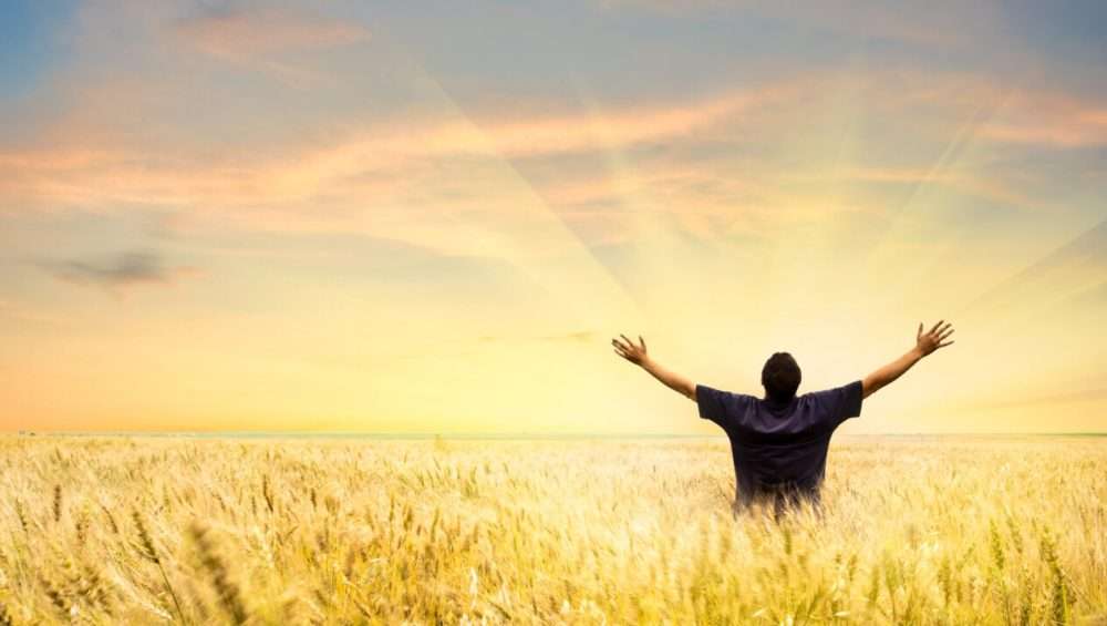 Man in paddy field with bright sunshine