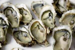 What is Oyster, Healthy Benefits of Oyster, Health Benefits of Oyster